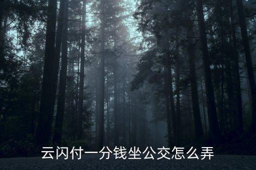 云閃付一分錢坐公交怎么弄