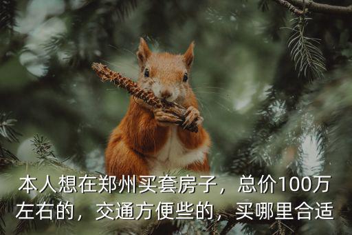 本人想在鄭州買套房子，總價100萬左右的，交通方便些的，買哪里合適