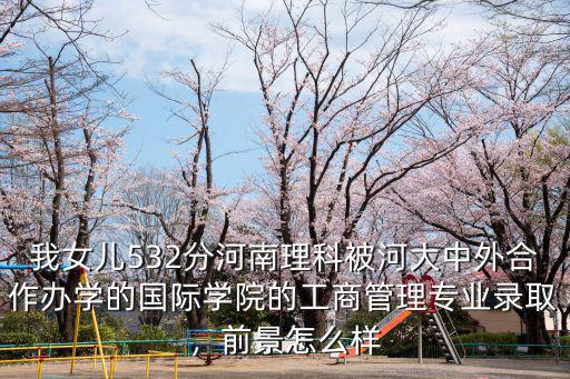 河南大學(xué)國際交流學(xué)院怎么樣,鄭州大學(xué)國際學(xué)院怎么樣