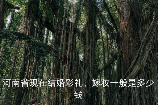 河南鄲城縣結(jié)婚彩禮要多少錢(qián),河南省現(xiàn)在結(jié)婚彩禮