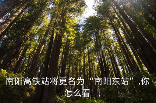 南陽高鐵站將更名為“南陽東站”,你怎么看