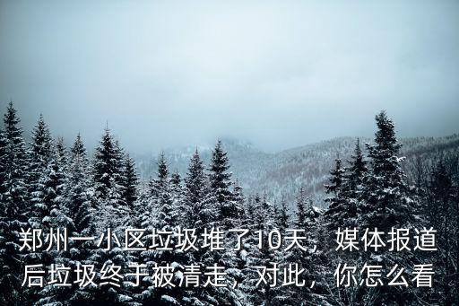 鄭州哪里有垃圾堆,鄭州一小區(qū)垃圾堆了10天