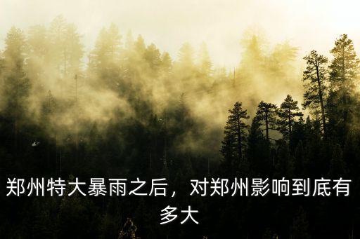 鄭州遭遇特大暴雨多少毫米,鄭州特大暴雨之后