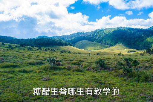糖醋里脊哪里有教學的
