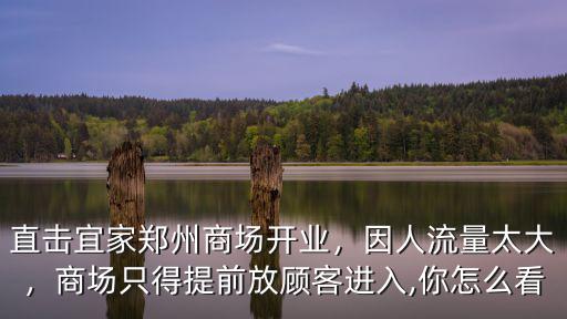 直擊宜家鄭州商場開業，因人流量太大，商場只得提前放顧客進入,你怎么看