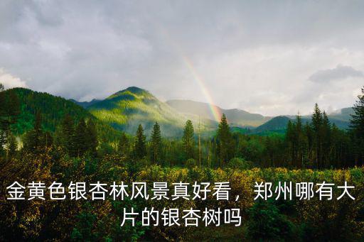 鄭州夾竹桃哪里有大片的,鄭州哪有大片的銀杏樹嗎