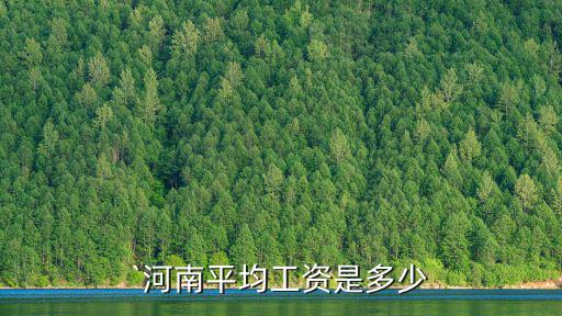 `河南平均工資是多少