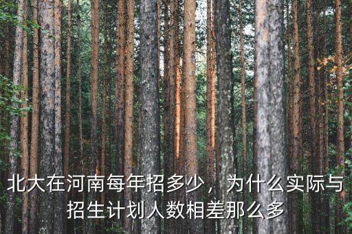 北大清華每年在河南招多少學生,北大在河南每年招多少