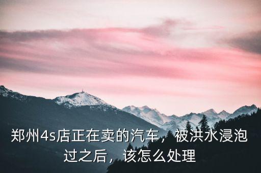 鄭州暴雨被水泡過的車怎么辦,鄭州暴雨一奧迪4S店被水淹