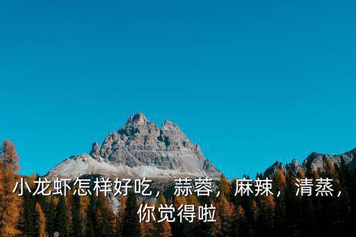 許昌蒜蓉小龍蝦哪里好吃,小龍蝦怎樣好吃