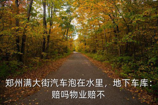 鄭州滿大街汽車泡在水里，地下車庫：賠嗎物業賠不
