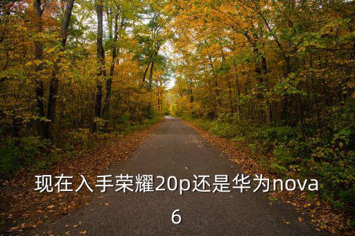 華為nova6河南哪里買,華為nova64g版
