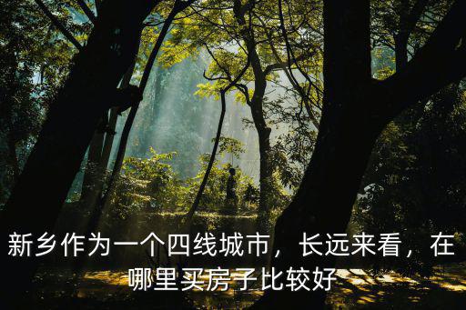 新鄉的商業中心在哪里,新鄉的老城核心在哪