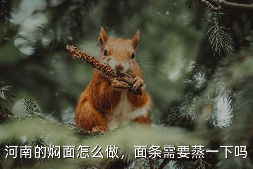 河南的燜面怎么做，面條需要蒸一下嗎