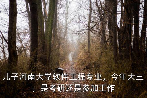 河南大學(xué)軟件類專業(yè)怎么樣,河南大學(xué)軟件學(xué)院怎么樣