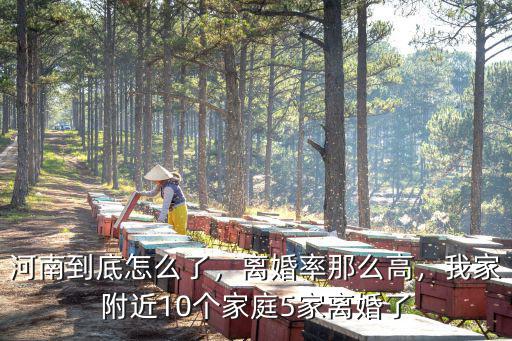 河南到底怎么了，離婚率那么高，我家附近10個家庭5家離婚了