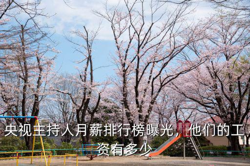 央視主持人月薪排行榜曝光，他們的工資有多少