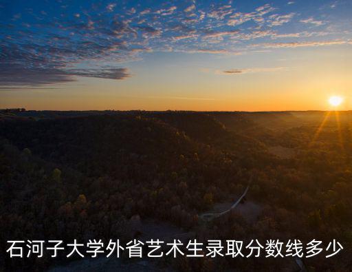 石河子大學音樂系在河南分數線是多少,錄取分數線是多少啊