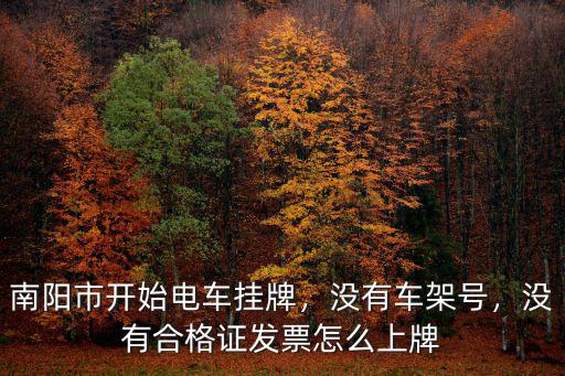 南陽市開始電車掛牌，沒有車架號，沒有合格證發票怎么上牌