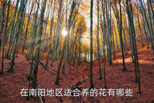 南陽櫻花花海文化旅游節在哪里,南陽哪里有賞花好去處