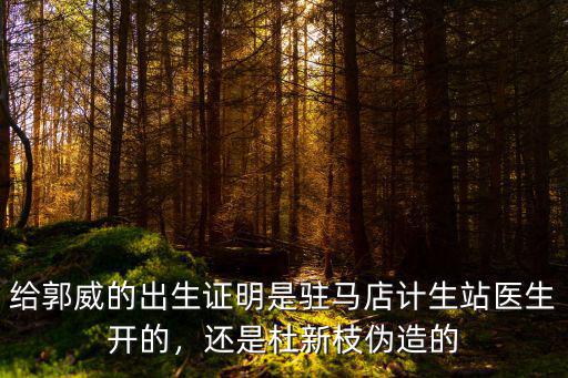 給郭威的出生證明是駐馬店計(jì)生站醫(yī)生開的，還是杜新枝偽造的