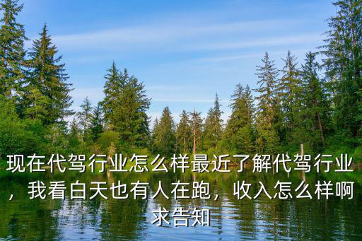 現在代駕行業怎么樣最近了解代駕行業，我看白天也有人在跑，收入怎么樣啊求告知