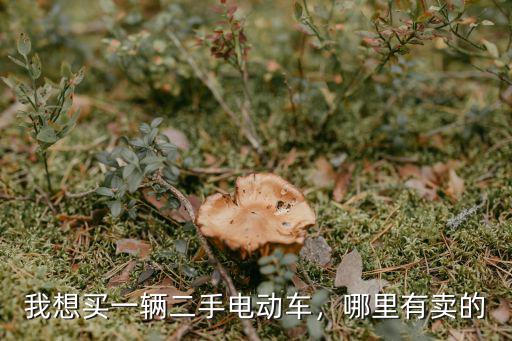 我想買一輛二手電動車，哪里有賣的