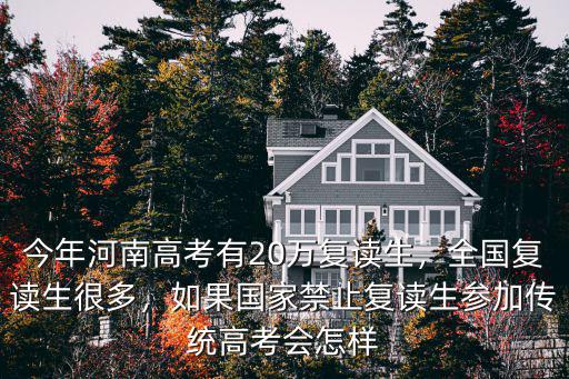 今年河南高考有20萬復讀生，全國復讀生很多，如果國家禁止復讀生參加傳統高考會怎樣