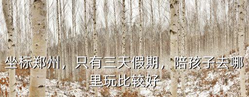 坐標(biāo)鄭州，只有三天假期，陪孩子去哪里玩比較好