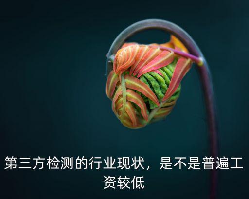 第三方檢測的行業現狀，是不是普遍工資較低