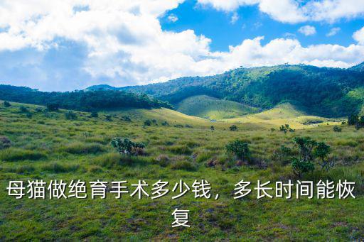 貓絕育手術多少錢商丘,母貓做絕育手術多少錢