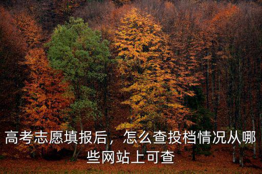 河南省怎么查詢志愿錄取情況,怎么查投檔情況