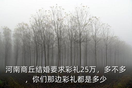 河南駐馬店新蔡縣彩禮都是多少,河南駐馬店的彩禮大概是多少