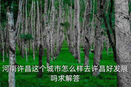 河南許昌這個城市怎么樣去許昌好發展嗎求解答