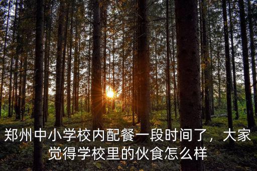 鄭州中小學(xué)校內(nèi)配餐一段時(shí)間了，大家覺(jué)得學(xué)校里的伙食怎么樣