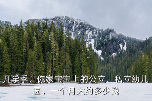 開學季，你家寶寶上的公立、私立幼兒園，一個月大約多少錢