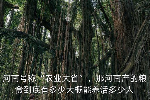 河南一年能產多少糧食,那河南產的糧食到底有多少
