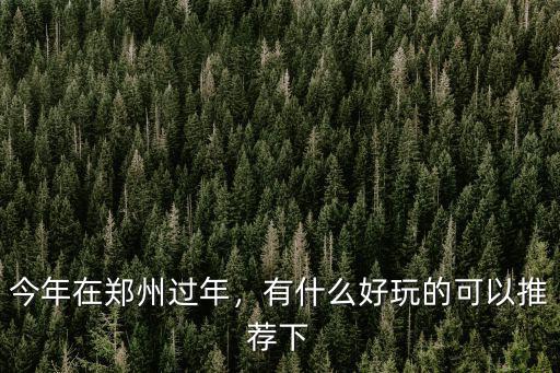 今年在鄭州過年，有什么好玩的可以推薦下