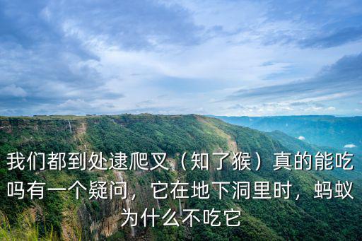 我們都到處逮爬叉（知了猴）真的能吃嗎有一個疑問，它在地下洞里時，螞蟻為什么不吃它