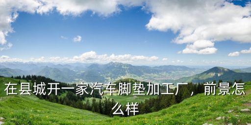 在縣城開一家汽車腳墊加工廠，前景怎么樣