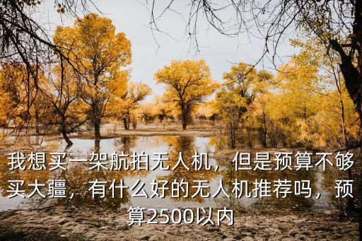 鶴壁哪里買大疆無人機,大疆無人機在哪里買最好