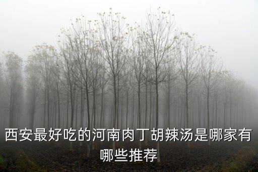西安最好吃的河南肉丁胡辣湯是哪家有哪些推薦
