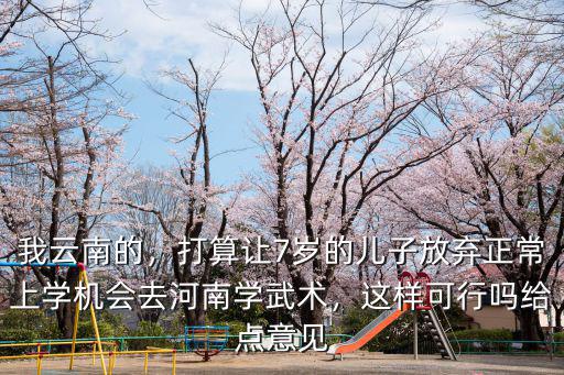 我云南的，打算讓7歲的兒子放棄正常上學機會去河南學武術，這樣可行嗎給點意見
