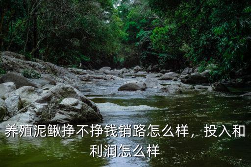 許昌泥鰍養(yǎng)殖怎么樣,養(yǎng)殖泥鰍掙不掙錢