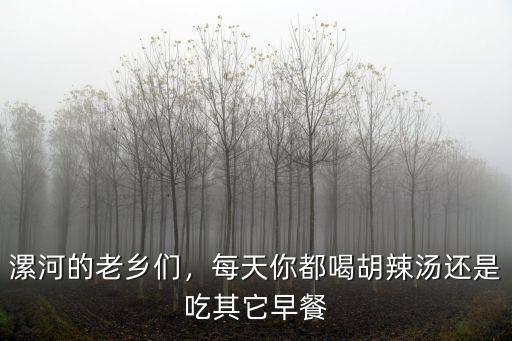 漯河的老鄉們，每天你都喝胡辣湯還是吃其它早餐