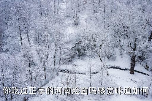 鄭州燴面館哪里最正宗,鄭州哪家燴面好吃