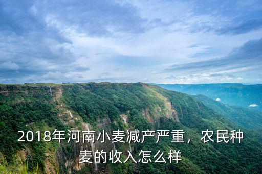 2018年河南小麥減產(chǎn)嚴(yán)重，農(nóng)民種麥的收入怎么樣