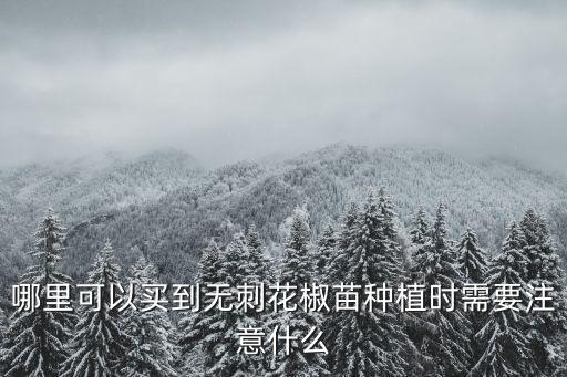 哪里可以買到無刺花椒苗種植時(shí)需要注意什么