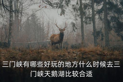 三門峽有哪些好玩的地方什么時候去三門峽天鵝湖比較合適