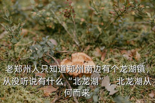 老鄭州人只知道鄭州南邊有個龍湖鎮，從沒聽說有什么“北龍湖”，北龍湖從何而來